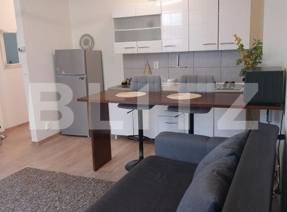 Garsonieră de închiriat Tudor Vladimirescu - 204625AI | BLITZ Iași | Poza6