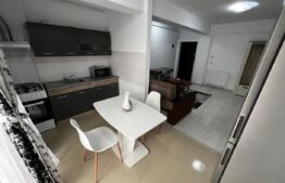 Apartament 2 camere, 45 mp, zona Valea Lupului