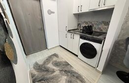 Garsonieră de vânzare, 20 mp, zona Nicolina
