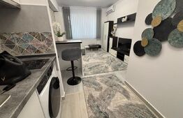 Garsonieră de vânzare, 20 mp, zona Nicolina