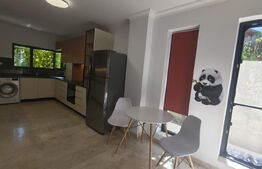 Casa individuala, 120 mp, teren 460 mp, zona Centrala