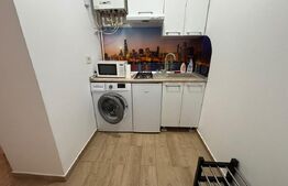 Apartament 1 camera, 25 mp, zona Ultracentral