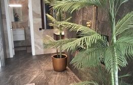 Penthouse de vanzare, 307.60 mp, zona Frumoasa