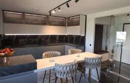 Penthouse de vanzare, 307.60 mp, zona Frumoasa