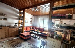 Casa de vanzare, 379 mp, 509 mp, zona Ultracentral 