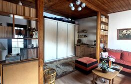 Casa de vanzare, 379 mp, 509 mp, zona Ultracentral 