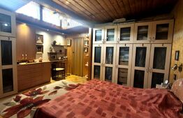 Casa de vanzare, 379 mp, 509 mp, zona Ultracentral 