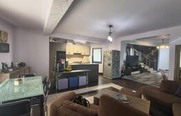 Casa individuala, 310 mp, 1.371 mp teren, zona Pacurari