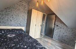 Casa individuala, 310 mp, 1.371 mp teren, zona Pacurari