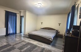 Casa individuala, 310 mp, 1.371 mp teren, zona Pacurari