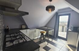 Casa individuala, 310 mp, 1.371 mp teren, zona Pacurari