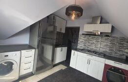 Casa individuala, 310 mp, 1.371 mp teren, zona Pacurari