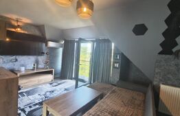 Casa individuala, 310 mp, 1.371 mp teren, zona Pacurari