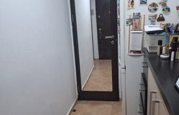 Blitz vă propune spre vânzare – Apartament cu 1 cameră, Nicolina