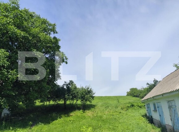 Casa de vânzare 3 camere Horlesti - 205531CV | BLITZ Iași | Poza2