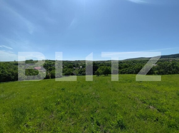 Casa de vânzare 3 camere Horlesti - 205531CV | BLITZ Iași | Poza4