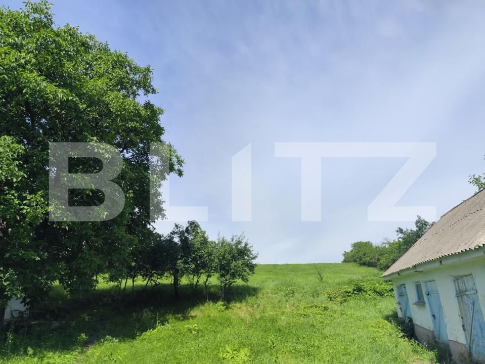 Casa de vânzare 3 camere Horlesti - 205531CV | BLITZ Iași | Poza2