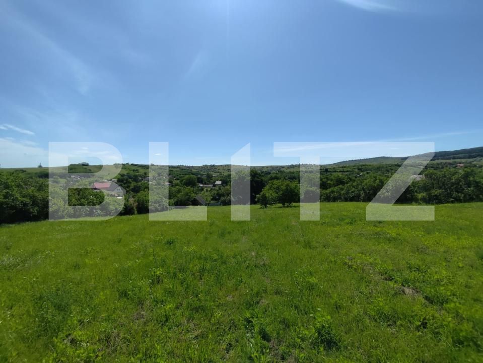 Casa de vânzare 3 camere Horlesti - 205531CV | BLITZ Iași | Poza4