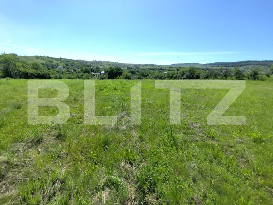 Casa de vânzare 3 camere Horlesti - 205531CV | BLITZ Iași | Poza3