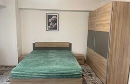 Apartament 1 camera, 40 mp, zona Pacurari 