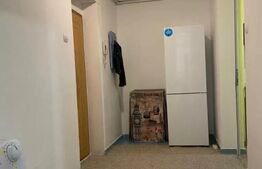 Apartament 1 camera, 40 mp, zona Pacurari 