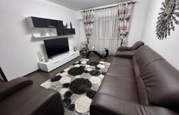 Apartament 2 camere, 50 mp, zona Pacurari