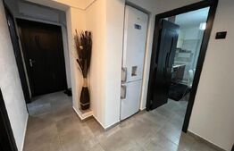 Apartament 2 camere, 50 mp, zona Pacurari