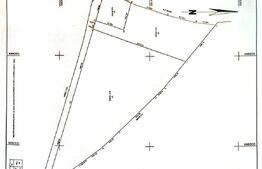 Teren intravilan, 16.020 mp, zona Antibiotice 