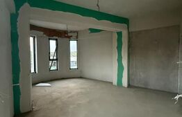 Apartament cu 1 camera-Vișani-Str.Grigore Sturdza