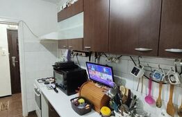 Apartament 2 camere, 55 mp, mobilat complet, zona Tătărași