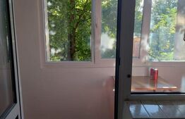 Apartament de 1 camera Tatarasi