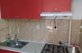 Apartament de 1 camera Tatarasi