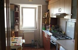 Apartament cu 4 camere, 95 mp, Soseaua Nicolina