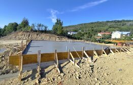 Casa 4 camere, 96 mp, zona Barnova-Pietraria