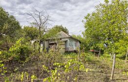 Casa de vanzare, 74 mp, teren 2.982 mp, zona Costuleni – DN28