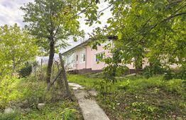 Casa de vanzare, 74 mp, teren 2.982 mp, zona Costuleni – DN28
