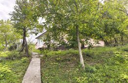 Casa de vanzare, 74 mp, teren 2.982 mp, zona Costuleni – DN28