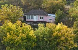 Casa de vanzare, 74 mp, teren 2.982 mp, zona Costuleni – DN28
