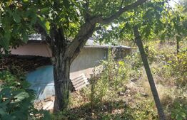 Casa de vanzare, 74 mp, teren 2.982 mp, zona Costuleni – DN28