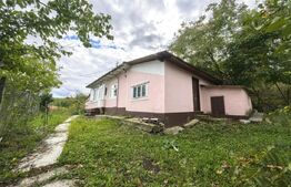 Casa de vanzare, 74 mp, teren 2.982 mp, zona Costuleni – DN28