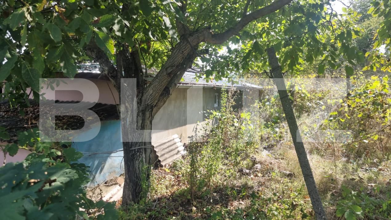 Casa de vânzare 4 camere Costuleni - 206286CV | BLITZ Iași | Poza12