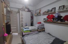 Apartament 1 camera, 35 mp, zona Visani