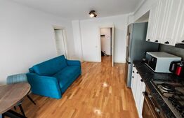 Apartament 2 camere, 44 mp, zona Tatarasi