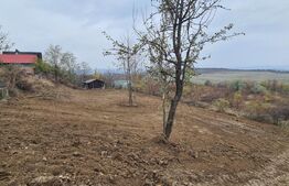Teren de vanzare, 900 mp, zona Visan - str. Regina Maria 