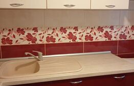 Apartament 2 camere, 48 mp, zona Alexandru cel Bun