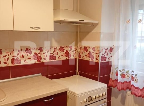 Apartament de închiriat 2 camere Alexandru cel Bun - 206635AI | BLITZ Iași | Poza9