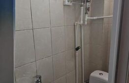 Camera de camin, 17 mp, zona Bularga