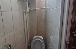 Camera de camin, 17 mp, zona Bularga