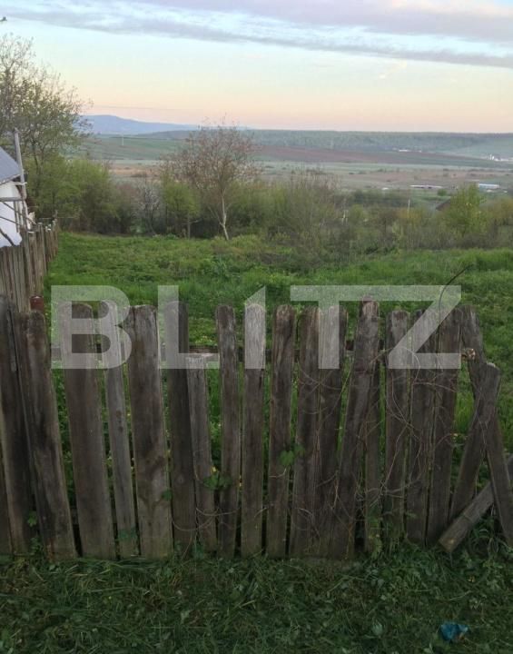 Teren de vânzare Ciurea - 206719TV | BLITZ Iași | Poza2