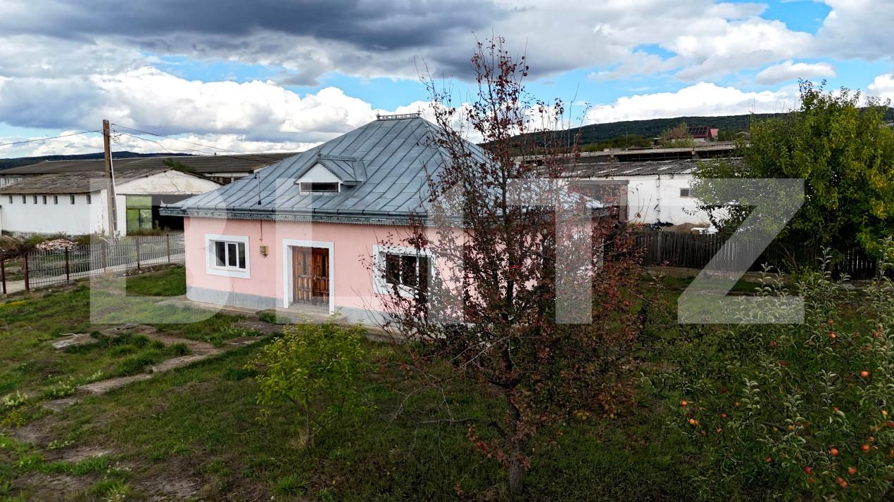 Casa de vânzare 4 camere Tibana - 206845CV | BLITZ Iași | Poza2